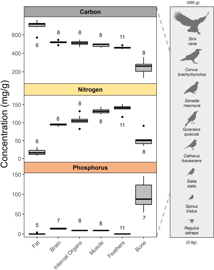 Ecological and evolutionary influences on the elemental composition of birds.