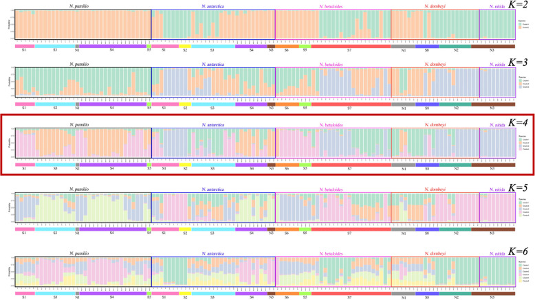 Low population genetic structure in five Chilean Nothofagus species and high fluctuating asymmetry in Nothofagus pumilio x N. antarctica putative hybrids.