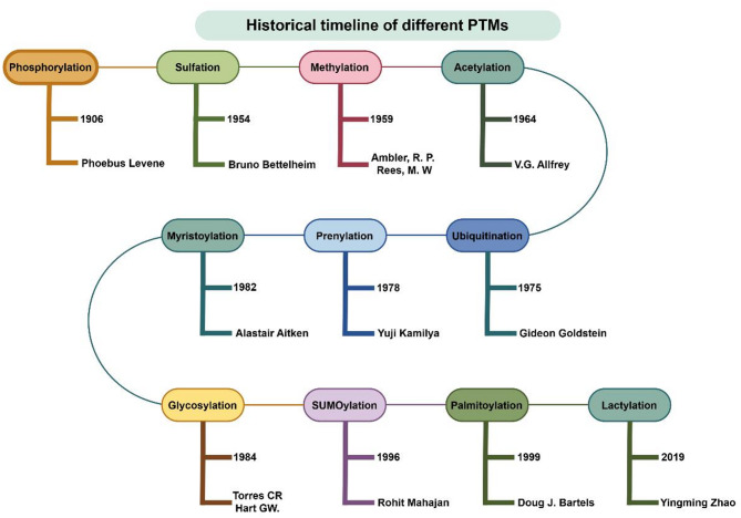 Post-translational modifications in anaplastic thyroid carcinoma: biological mechanisms and therapeutic potential.