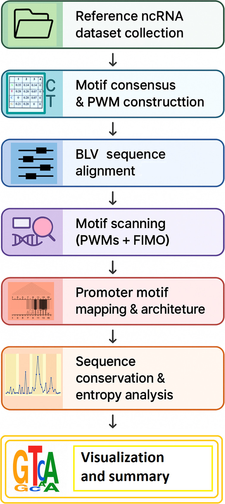 Identification of novel RNA polymerase III promoters in bovine leukemia virus miRNA cluster by cross-taxa analysis of small non-coding RNAs.