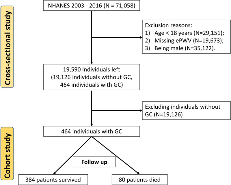 Association between estimated pulse wave velocity and gynecological cancer risk and mortality: Insights from NHANES 2003 to 2016.
