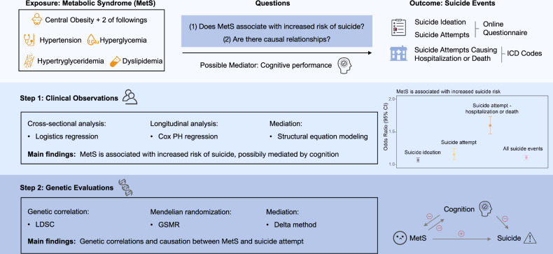 Metabolic syndrome increases the risk of suicide attempt: evidence from a population-based cohort and genomic analysis.