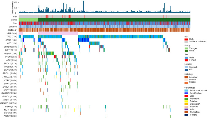 Distinct age-related effects of homologous recombination deficiency on genomic profiling and treatment efficacy in gastric cancer.