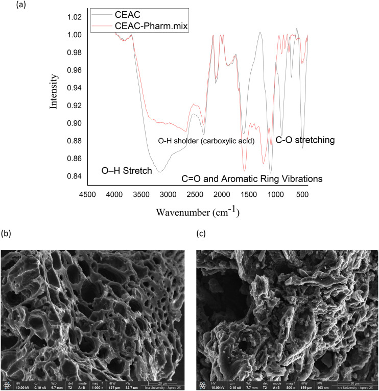 Green remediation: <i>Casuarina equisetifolia</i> fruit-based activated carbon for pharmaceutical removal.