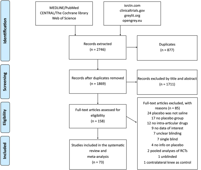 Placebo response to intra-articular injections in knee osteoarthritis: magnitude, evolution over time, and influencing factors. A systematic review and meta-analysis with meta-regression.