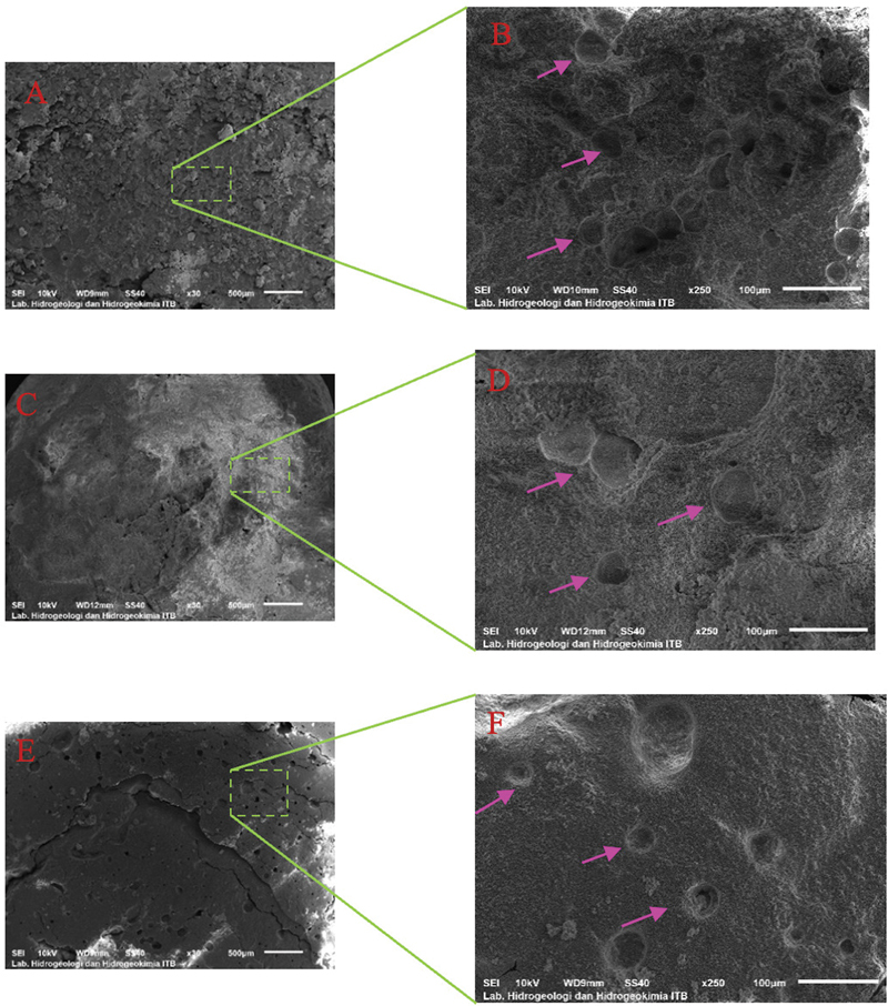 Fabrication and Characterization of Carbonate Apatite-Bovine Gelatin Scaffolds for Endodontic Regeneration: A Lyophilization-Based Approach.