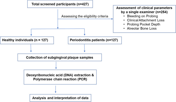 FimA genotype variants of Porphyromonas gingivalis in periodontal health and disease: a preliminary observational study among the UAE population.