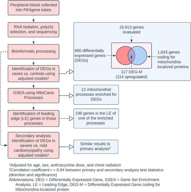 Anthracycline-induced cardiomyopathy in childhood cancer survivors is associated with gene signatures of mitochondrial dysfunction-a COG ALTE03N1 report.