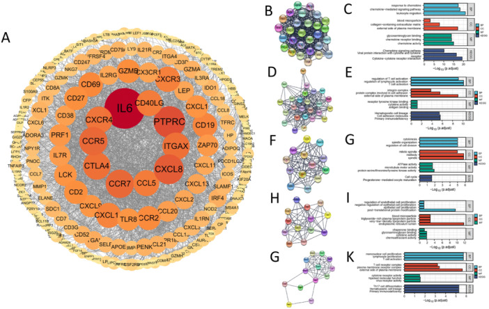CD40LG as a Biomarker in Rheumatoid Arthritis: Links to Bone Destruction and Interstitial Lung Disease - A Bioinformatic Analysis With Clinical Validation