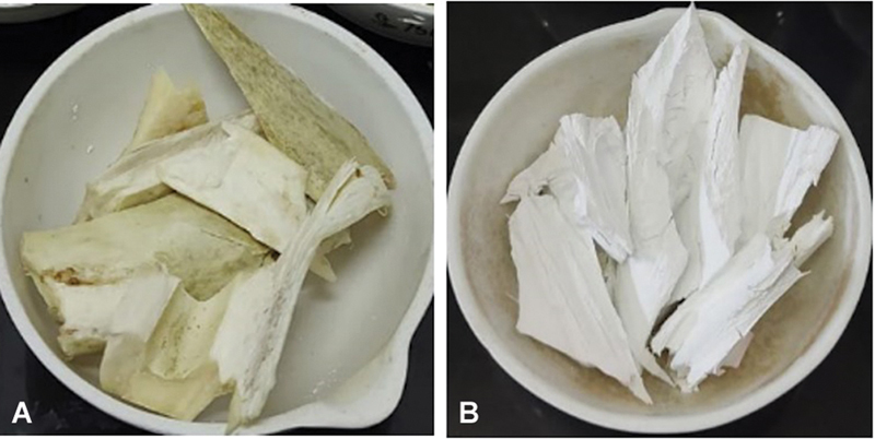 Extraction and Characterization of Aceh Bovine Bone-Derived Hydroxyapatite for Applications in Dentistry.