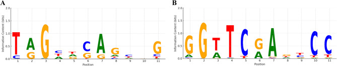 Identification of novel RNA polymerase III promoters in bovine leukemia virus miRNA cluster by cross-taxa analysis of small non-coding RNAs.