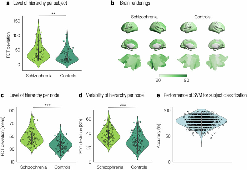 Reconfiguration of functional brain hierarchy in schizophrenia.
