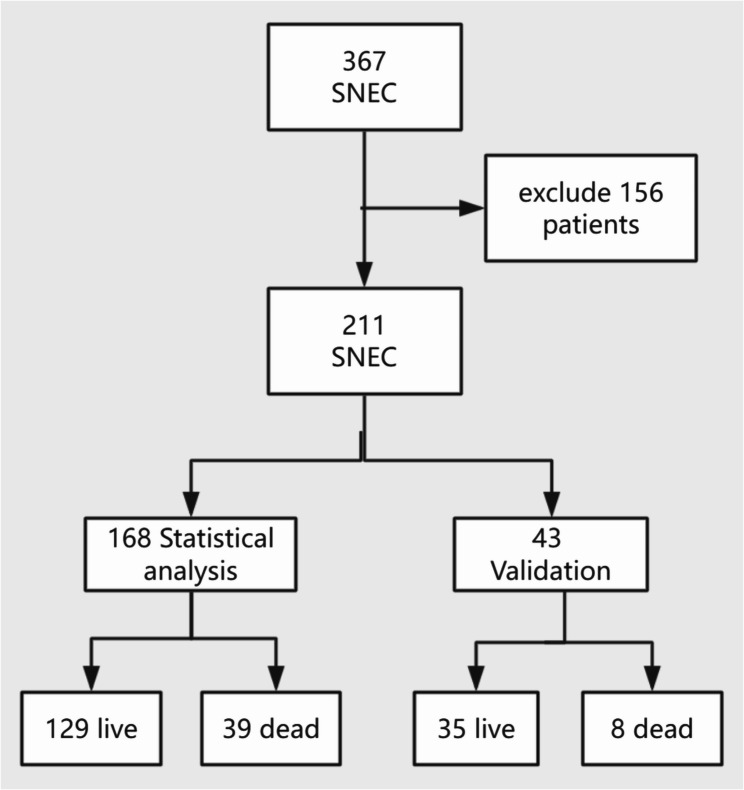 Effect of serum creatinine changes on surgical timing and prognosis in progressive necrotizing Enterocolitis.