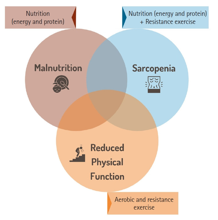 Enhancing postoperative recovery with multimodal prehabilitation: the journey begins before surgery.