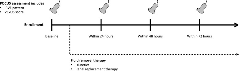 Intrarenal venous flow patterns and their association with successful fluid removal in critically ill patients: a prospective observational exploratory study.