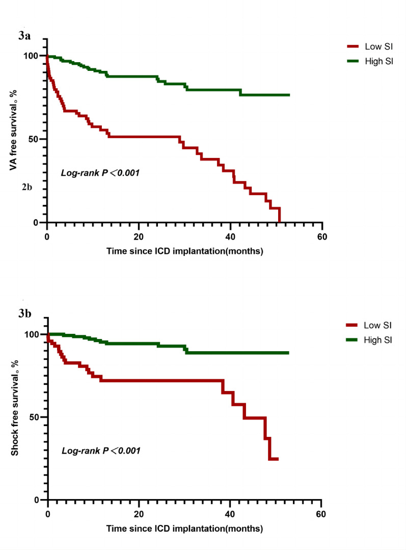 Sarcopenia index as a predictor of ventricular arrhythmia risk in patients with type 2 diabetes mellitus: a longitudinal study.