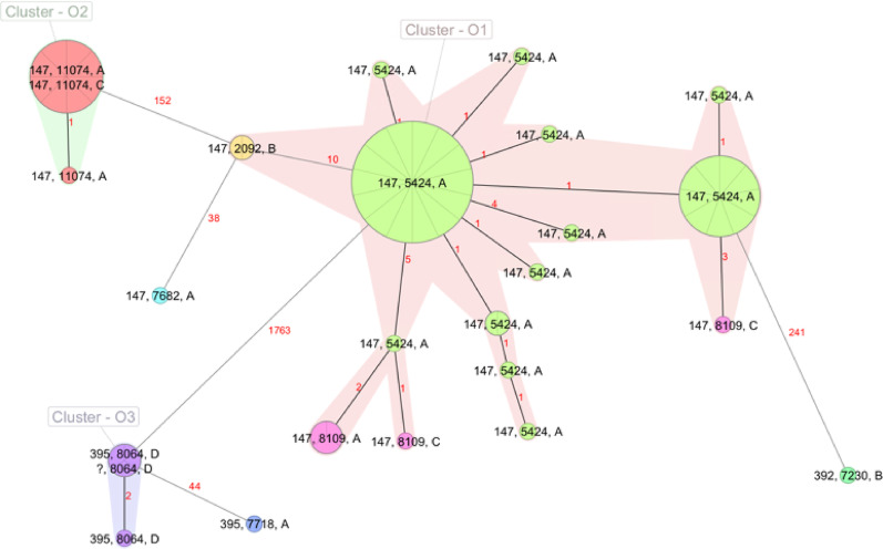 NDM-1 plasmid clustering reflects clonal transmission of Klebsiella pneumoniae ST147 in four hospitals in Berlin, Germany.