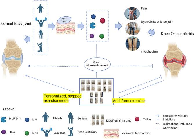 Multiform-based Yi Jin Jing exercise against osteoarthritis of the knee: study protocol for a randomised controlled trial.