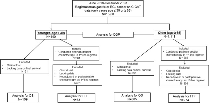 Distinct age-related effects of homologous recombination deficiency on genomic profiling and treatment efficacy in gastric cancer.