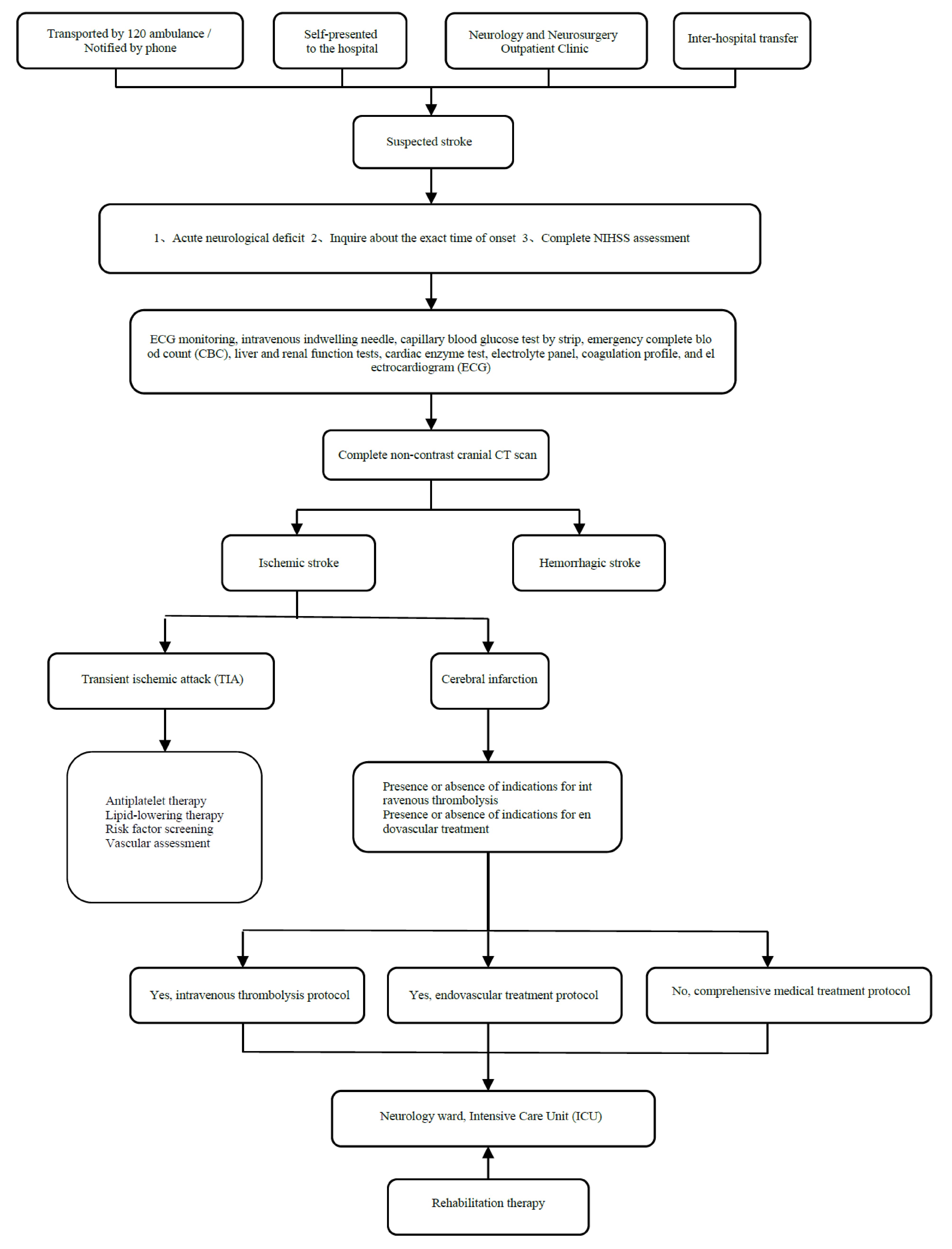 Large artery atherosclerotic versus cardioembolism subtypes of large hemispheric infarction in the middle cerebral artery.
