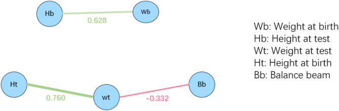 Percentile curve of balance development and network analysis with body shape and physical fitness in preschool children.