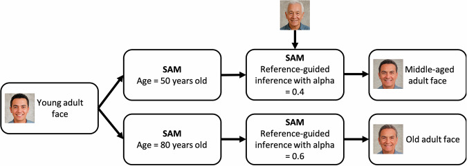 A generated image repository of aging faces.