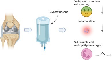 Effects of Dexamethasone on Nausea, Vomiting, and Inflammatory Indexes After Total Knee Arthroplasty.