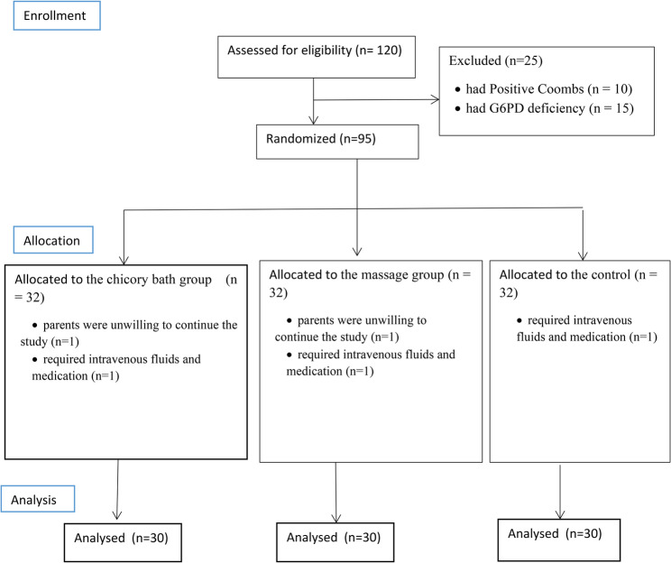 Comparison of effect of massage or chicory bath on bilirubin levels in term newborns undergoing phototherapy: a randomized clinical trial.