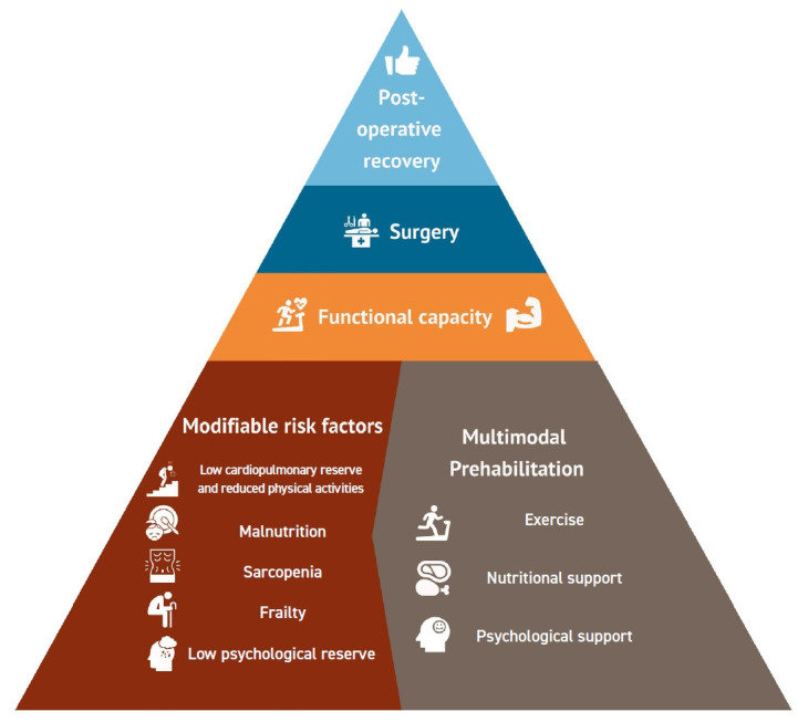 Enhancing postoperative recovery with multimodal prehabilitation: the journey begins before surgery.