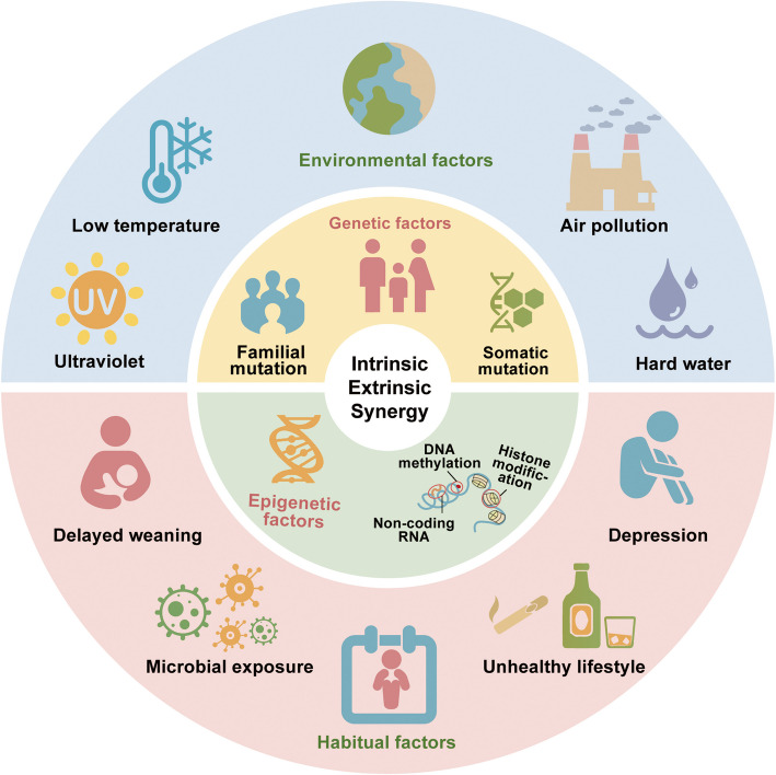 Atopic dermatitis: diagnosis, molecular pathogenesis, and therapeutics.