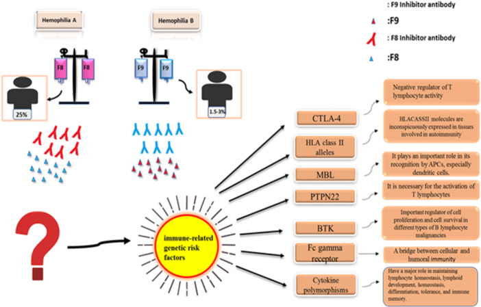 Immune System-Related Genetic Risk Factors for Inhibitory Antibody Development in Patients With Hemophilia: Reviewing an Old Problem From a New Perspective-A Narrative Review.