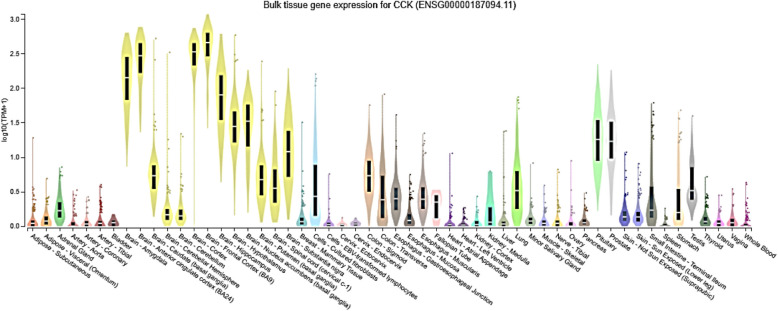 Overexpression of CCK Neuropeptide in brain is linked to ZBTB20 mutations: potential diagnostic relevance in glioblastoma.