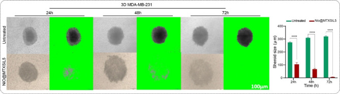 Niosome-loaded silibinin and methotrexate for synergistic breast cancer combination chemotherapy: in silico and in vitro study.