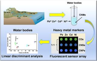 Heavy metal marker-amplified recognition analysis: enhanced water body differentiation via carbon nanomaterial fluorescence and machine learning