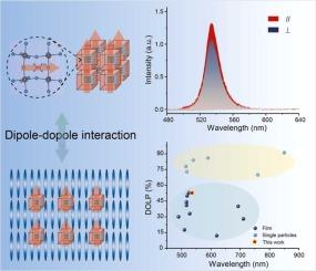 Cation Dependent Linear Dichroism in PL Spectra of Self-assembled Perovskite Nanoparticle Film and Nanoparticle-Liquid Crystal Mixtures