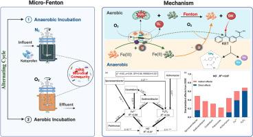 Circumneutral Microbial Fenton Catalysis: Harnessing Iron-Redox Synergy for Sustainable Pharmaceutical Degradation