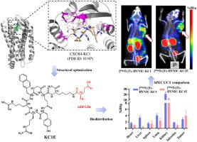 Innovative Design of CXCR4 Cyclic Peptide via Molecular Docking for 99mTc-Labeled SPECT/CT Imaging in Melanoma