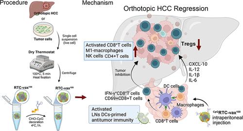 Calreticulin Enhances Therapeutic Immune Responses of Dry Thermostat-Stressed Hepatocellular Carcinoma Cell Vaccine