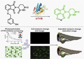 Visual fluorescence discovery of the potent photoswitchable hTYR inhibitor to improve treatment strategy for hyperpigmentation