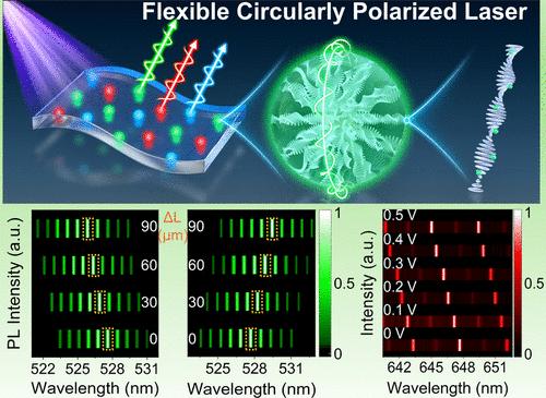 Electrically Tunable Flexible Circularly Polarized Laser with Ultrahigh Asymmetry Factor