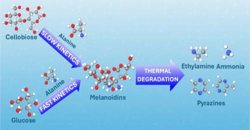 Pyrazine Formation from Saccharides and Alanine under Hydrothermal Conditions