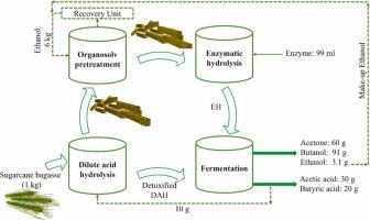 Sustainable and efficient valorization of sugarcane bagasse: Integrated conversion of holocellulose into acetone, butanol, and ethanol