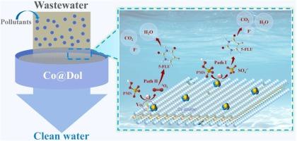 Highly dispersed cobalt nanoclusters on dolomite: A low-cost catalytic platform for enhanced peroxymonosulfate activation toward sustainable 5-Fluorouracil degradation