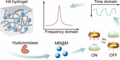 A hyaluronidase detection platform combined with enzyme-responsive hydrogel and periodic magnetic-modulated electrochemical analysis system