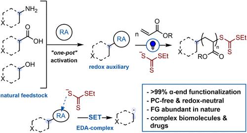 An Electron Donor–Acceptor Complex-Driven Strategy Enables Initiation of Photoiniferter RAFT Polymerization from Amines, Carboxylic Acids, and Alcohols