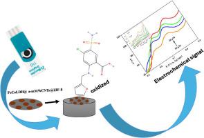 Electrochemical and HPLC-based detection of furosemide using Fe-Co LDH@ZIF-8 magnetic MWCNT-modified SPCE