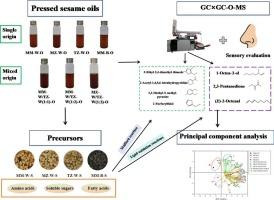 Decoding the aroma of pressed sesame oils: sensory attributes, seed origins and aroma precursors