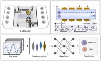 Microfluidic impedance cytometer with face-to-face electrodes for multi-parameter phenotyping and accurate discrimination of cells