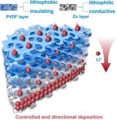 Interfacial ion-redistribution via lithiophilic-lithiophobic/insulating-conductive dual-gradient design for uniform and controllable lithium deposition