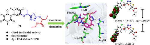 Design of N-Phenyltriazinone Derivatives with Ether-Linked Oxadiazole Moieties as Protoporphyrinogen IX Oxidase Inhibitors